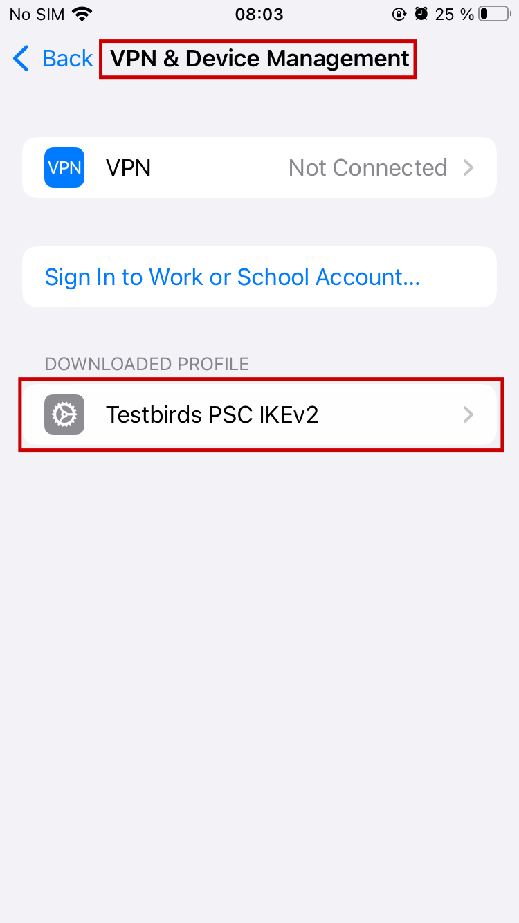 iOS VPN profile step02